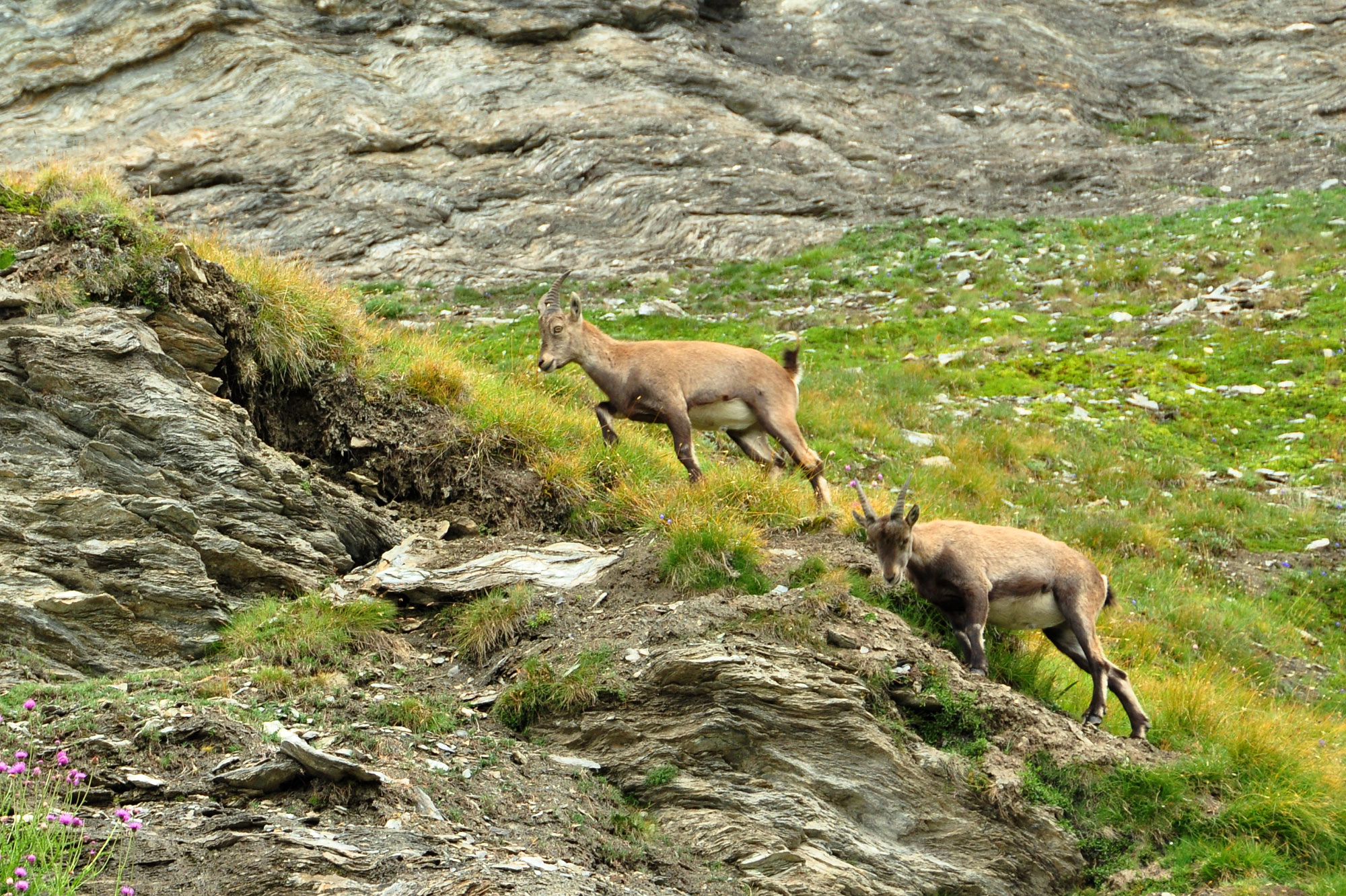 Lacs de Fenêtre
